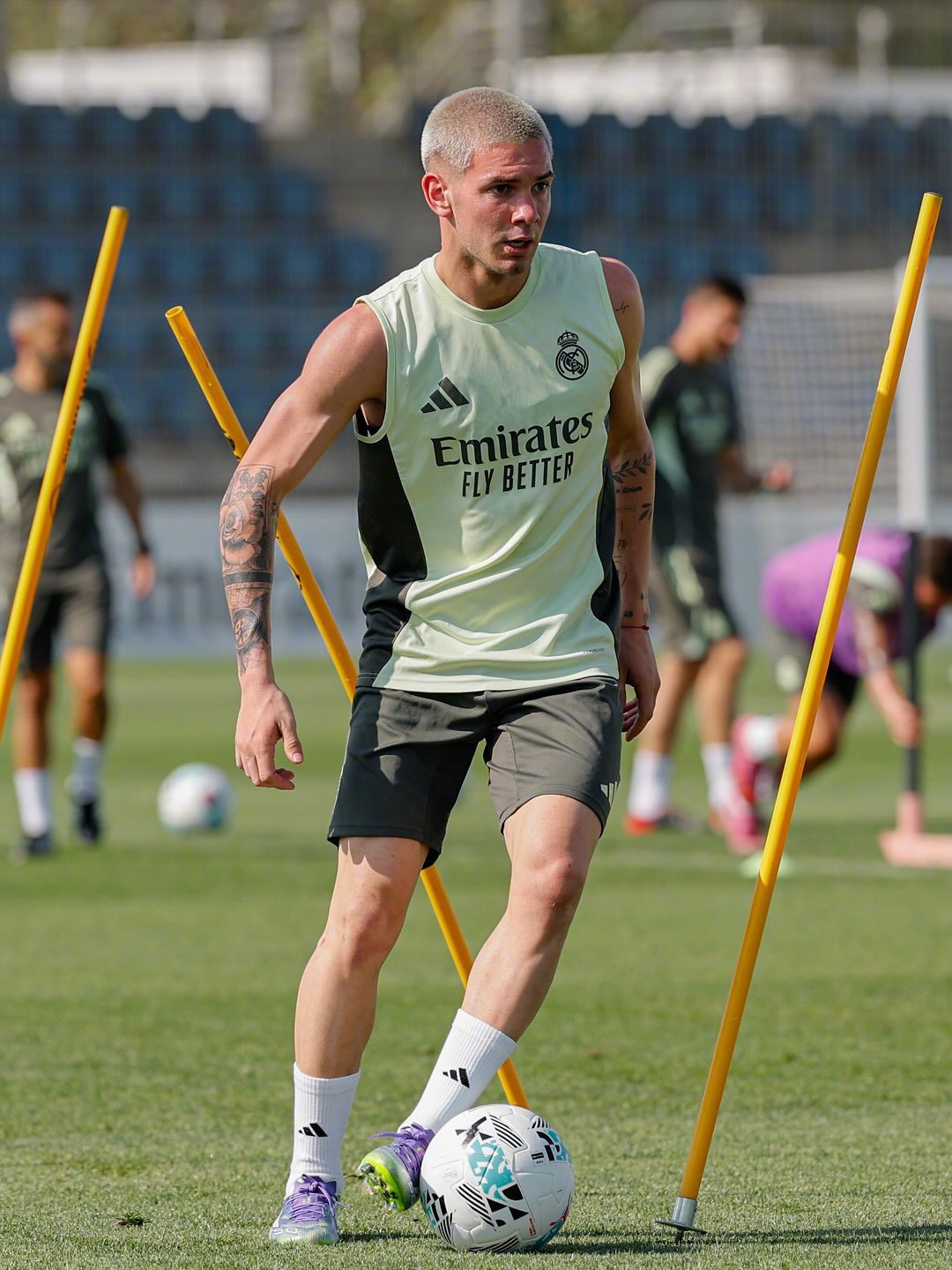 已经近在眼, 的表现令人